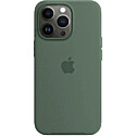 Apple Iphone Leather Case with Magsafe in Sequoia Green