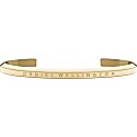 Daniel Wellington Classic Bracelet in Gold
