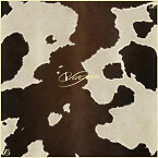 Didu Square Silk Scarf