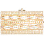Judith Leiber Sleek Rectangle Gems Clutch