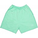 LIVINCOOL Essential Shorts in Mint