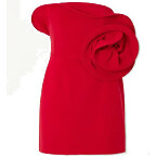 Magda Butrym Rose Dress