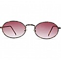 Reality Eyewear Helsinki Sunglasses in Turtle