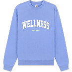 Sporty & Rich Wellness Ivy Crewneck in Flax Blue