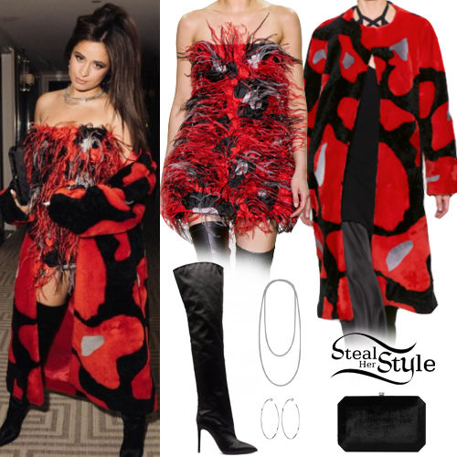 Red Feather Dress and Coat