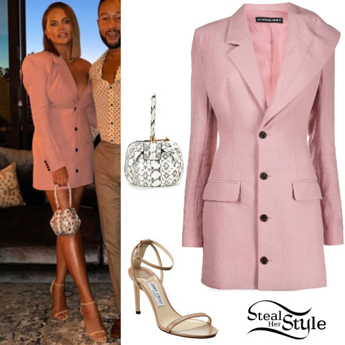 Pink Blazer Dress, Snake Bag