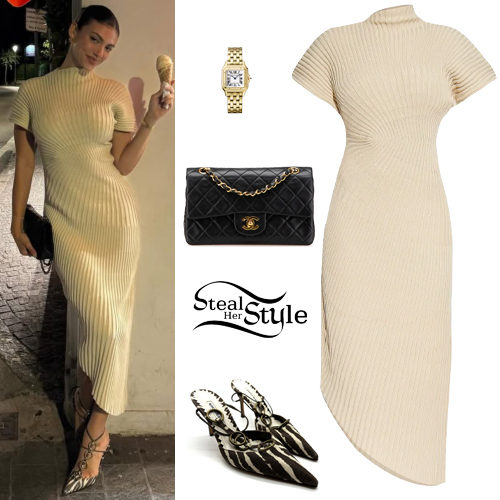 Knit Dress, Zebra Pumps