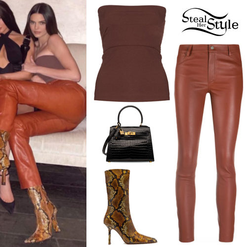 Brown Top, Leather Pants
