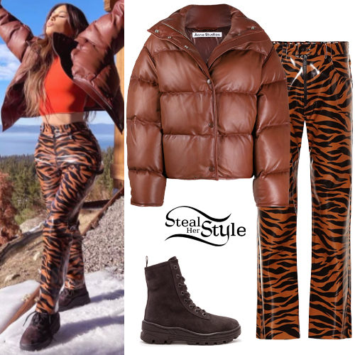 Brown Leather Jacket, Tiger Pants