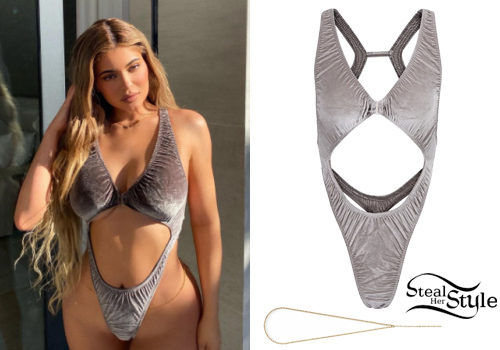 Grey Velvet Swimsuit