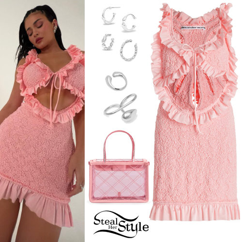 Pink Mini Dress and PVC Bag