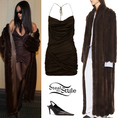 Brown Dress, Fur Coat