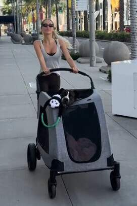 White Tank Top and Dark Leggings