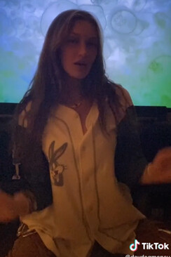 Bella Hadid Instagram Story November 14, 2020