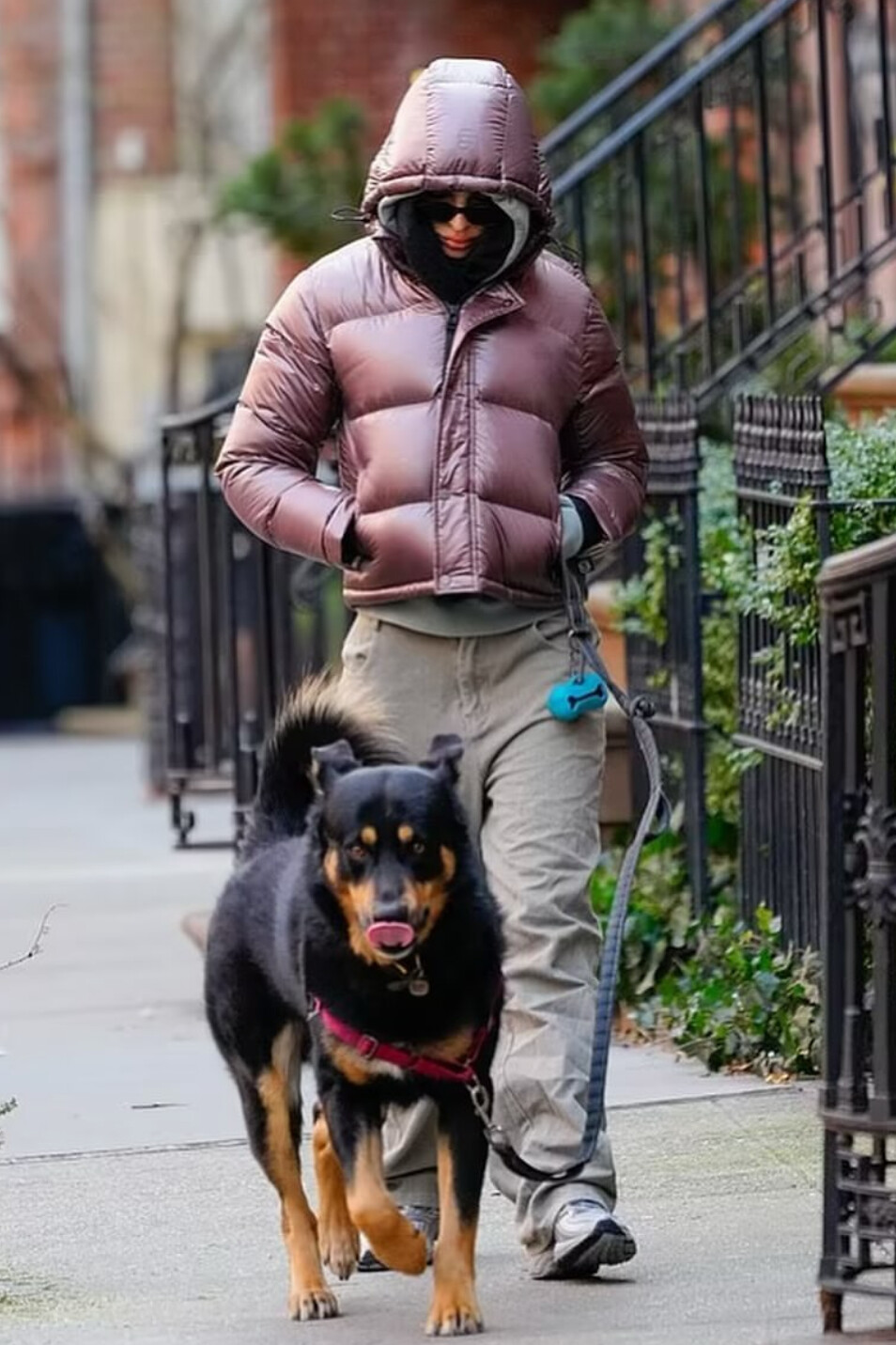 Aritzia Super Puff and Heather Grey Hoodie
