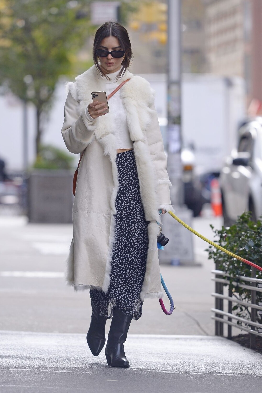 Emily Ratajkowski Walking Her Dog November 17, 2021