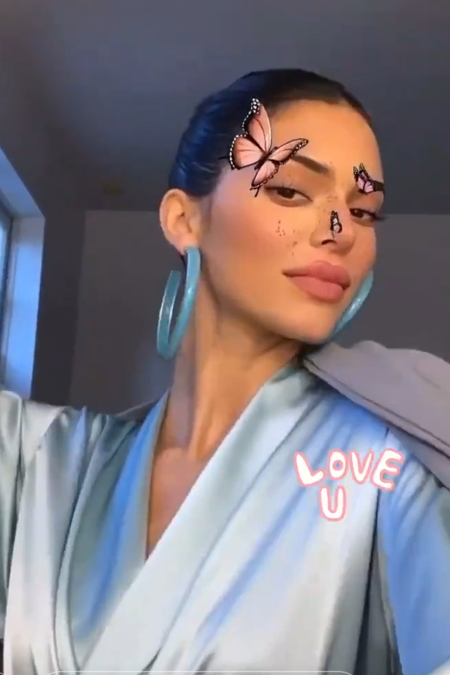 Kendall Jenner Instagram Stories January 14, 2020