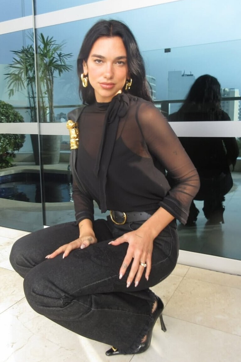 Dua Lipa Instagram November 25, 2025