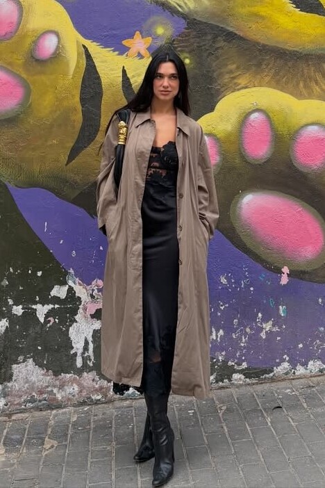 Dua Lipa Instagram November 25, 2025