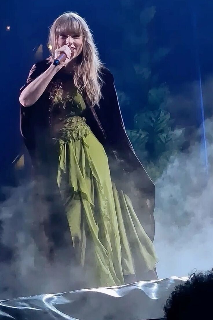 Green Chiffon Gown and Velvet Cape